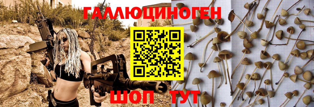 Донецк  Галлюциногенные грибы Magic Shrooms  Вход с VPN  Галлюциногенные грибы GOLDEN TEACHER 